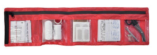 Care Plus First Aid Roll Out L&D Small