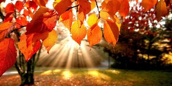 ZORGELOOS & VOORBEREID DE HERFST DOOR MET EEN EHBO-SET