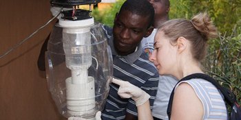 Enorme vooruitgang rondom uitroeiing Malaria wereldwijd