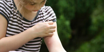 Muggenplaag op komst